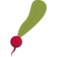 Illustration Of A Single Radish With A Long Green Leaf And Red Bulb Against A Transparent Background