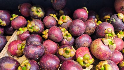 Fresh mangosteens piled together in a market display. The purple rind and green stems highlight tropical fruit freshness, natural texture, and organic produce perfect for healthy food concepts.