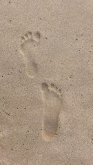Footprints on wet sand near the shoreline, with gentle ocean foam approaching. The image captures a peaceful beach moment symbolizing travel, memories, and the passage of time by the sea.