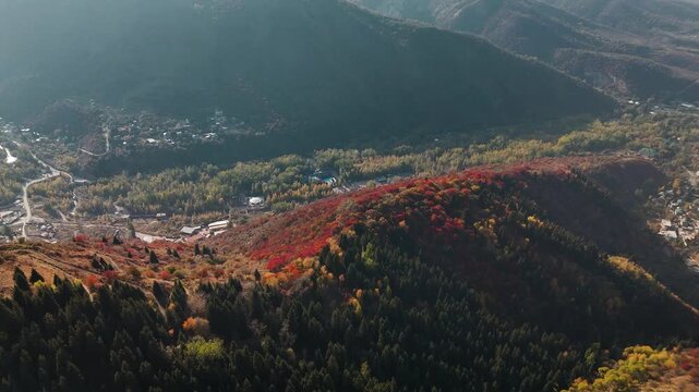 Aerial view panorama of yellow autumn forest in Almaty