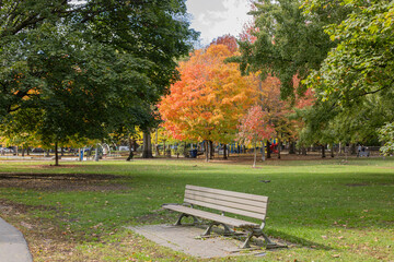 Fototapeta premium The colors of fall in Toronto nature