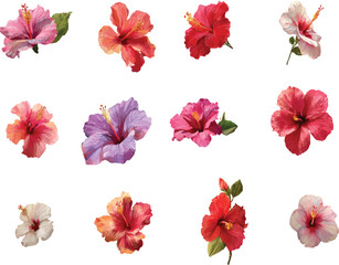 collection of flowers