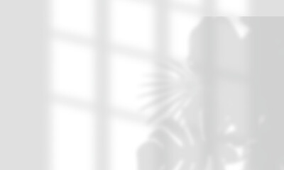 Shadow overlay effects of realistic abstract sunlight tropical leaves and window shadow on wall background on transparent for photo interior backdrop studio mockup	
