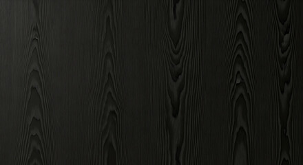 Abstract Horizontal Black Wood Texture Wallpaper