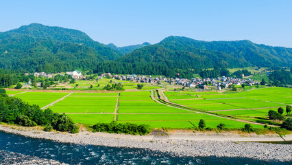 信濃川の展望地　夏