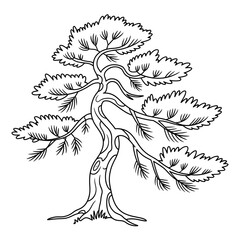 Elegant Pine Tree Coloring Page for Kids and Adults