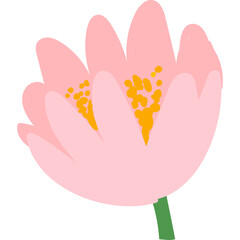 Illustration Of A Pink Flower With Yellow Center And Green Stem Isolated On Transparent Background