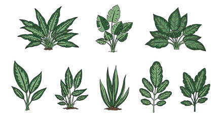 Hand-drawn green tropical leaves collection with various shapes and sizes, perfect for botanical designs and nature-themed projects