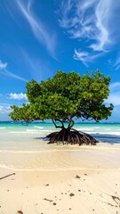 Tropical beach scene a lone tree on a sandy shore, blue sky