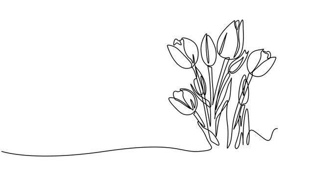 Self drawing animation with one continuous line draw, the appearance of tulip flower bouquet, wall decoration ornament. Full length single line animation, spring flowers graphic animation. Alpha pro.