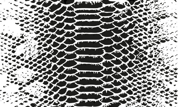 texture pattern white black snake crocodile reptile seamless repeat. Amazing hand drawn vector illustration. Print