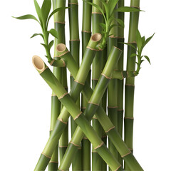 Arrangement of fresh green bamboo stalks a natural and zen-like decorative element isolated on a white background
