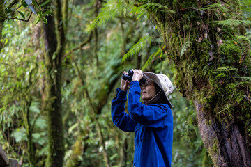 Bird watcher is looking through binoculars while exploring in the pine forest for surveying and discovering the rare biological diversity and ecologist on the field study concept
