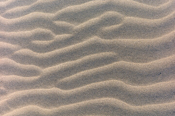 湘南海岸の砂紋