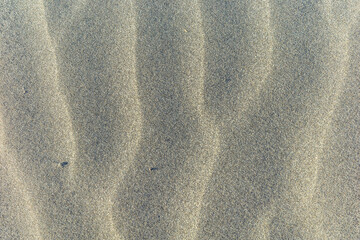湘南海岸の砂紋