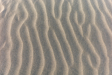 湘南海岸の砂紋