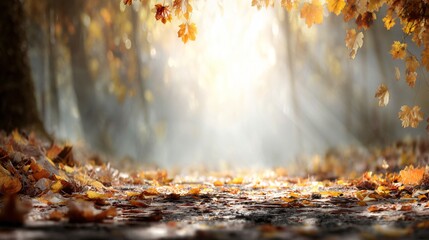 A pathway carpeted with fallen golden autumn leaves sunlight streams through trees