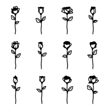 rose flowr bundle white amd black desgine