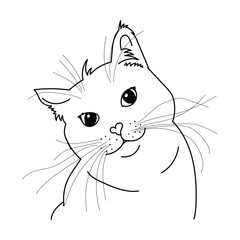 vector illustration of a Kitten line drawing