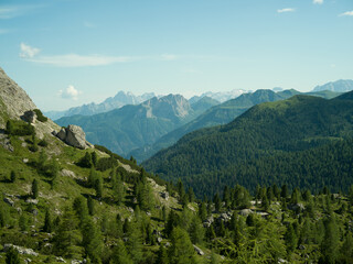 Peaceful alpine valley in the Dolomites, Italy. Rolling green hills and pine forests leading to snow-covered peaks in the distance under a soft summer sky — pure mountain serenity.