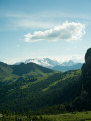 Peaceful alpine valley in the Dolomites, Italy. Rolling green hills and pine forests leading to snow-covered peaks in the distance under a soft summer sky — pure mountain serenity.