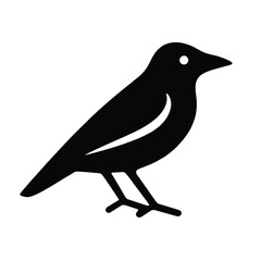 Obraz premium bird on a branch