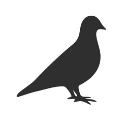 vector illustration of a pigeon