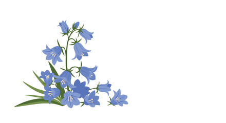 A cluster of bluebell flowers with green leaves in the lower left corner on a white background space