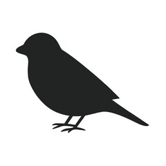 vector illustration of a crow