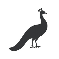 peacock vector illustration