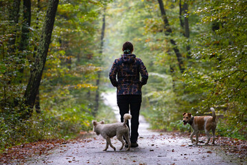 Woman and her dogs in autumn landscape