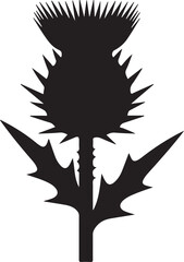 Black silhouette of a thistle plant flower botanical