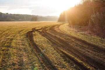 Muddy tire tracks wind through a golden field at sunrise, leading towards a sun-drenched forest...