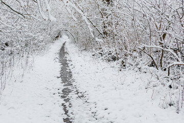 A narrow path leading through a forest covered in fresh white snow, with trees and branches coated in snow creating a peaceful winter tunnel.