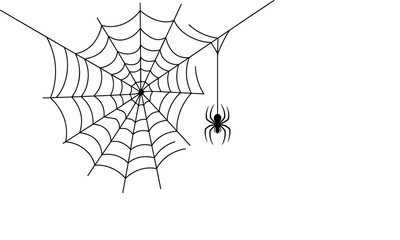 Spider web black isolated on transparent background, realistic cobweb vector illustration for Halloween, spooky decoration, and creepy graphic design elements