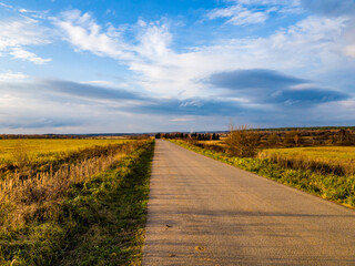 Long winding asphalt path cutting through golden fields under a vast sky. Autumnal rustic scenery with a tranquil feel, stretching far into the distance