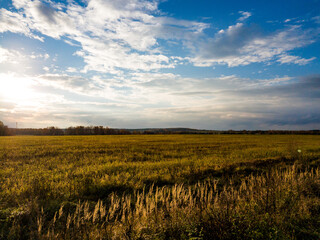 Vast golden field stretching under a dynamic sky with scattered clouds. Sunlight bathes the autumn grasses, creating a serene, expansive rural scene at dusk