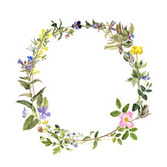 watercolor drawing round wreath with wild flowers, plants at white background, hand drawn botanical illustration