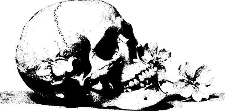 Gothic skull with flowers halftone art for tattoo and poster design