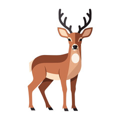 Standing deer with antlers