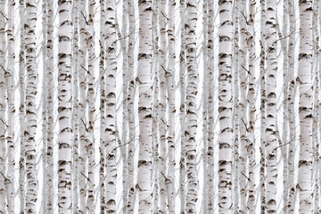 Seamless birch forest pattern with white tree trunks and dark bark markings. Repeating background design suitable for wallpaper, fabric, or digital textures