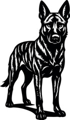 Bold Dutch Shepherd illustration in alert guard stance with focused gaze.