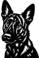 Creative Dutch Shepherd head artwork showing tilted head in playful curious expression.
