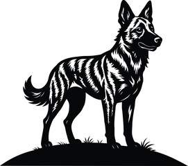 Dutch Shepherd Dog standing on grassy hill.