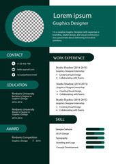 Professional curriculum vitae design template 