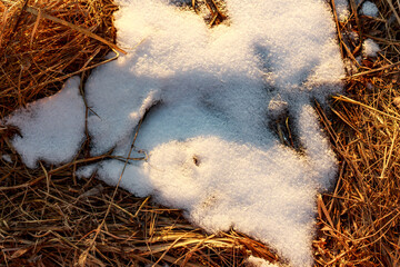Sparkling snow patches on dry golden grass, hinting at winter's end and the coming spring. Nature's...