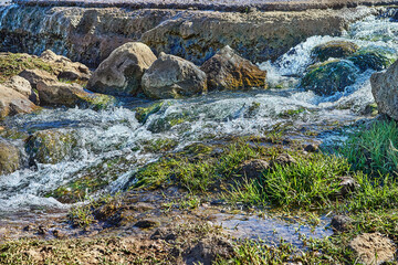 Rapid water flows over rocks and moss near a green grassy bank on a bright and sunny day.