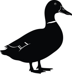 Silhouette of a black duck standing on isolated animal wildlife bird waterfowl aquatic nature flat design vector illustration isolated on transparent background