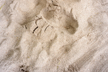 beach sand texture background