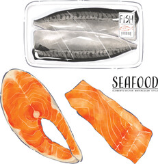 Seafood Fish mackerell pack watercolor painting-1